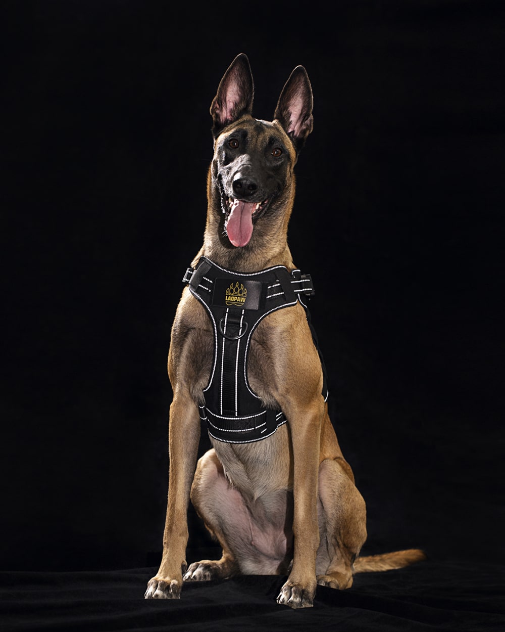 tactical dog harness with reflective straps