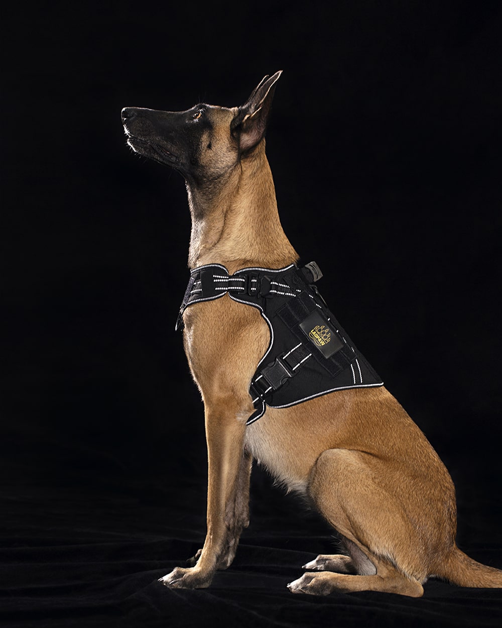tactical dog harness with reflective straps