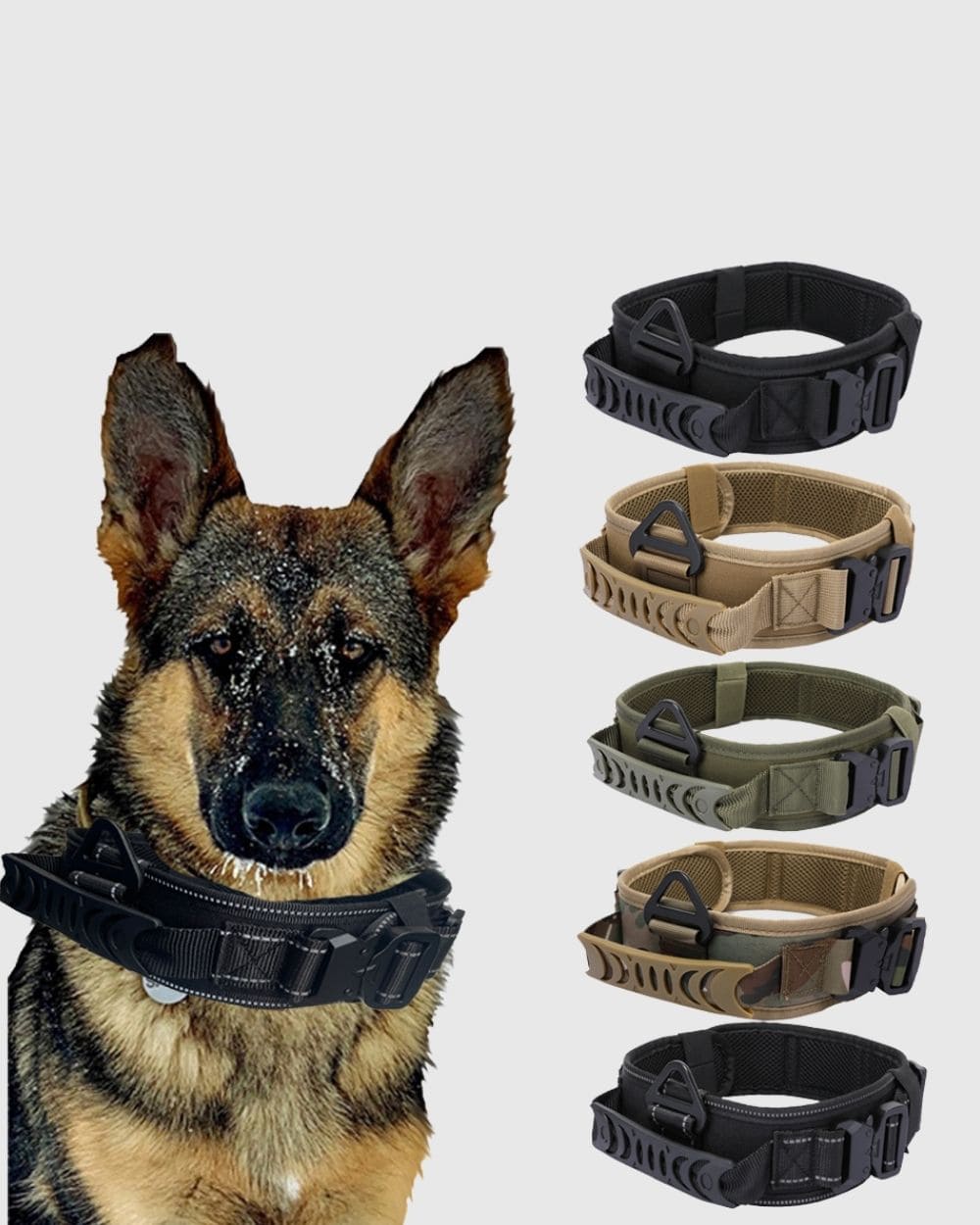 LAOPAW TACTICAL DOG COLLAR