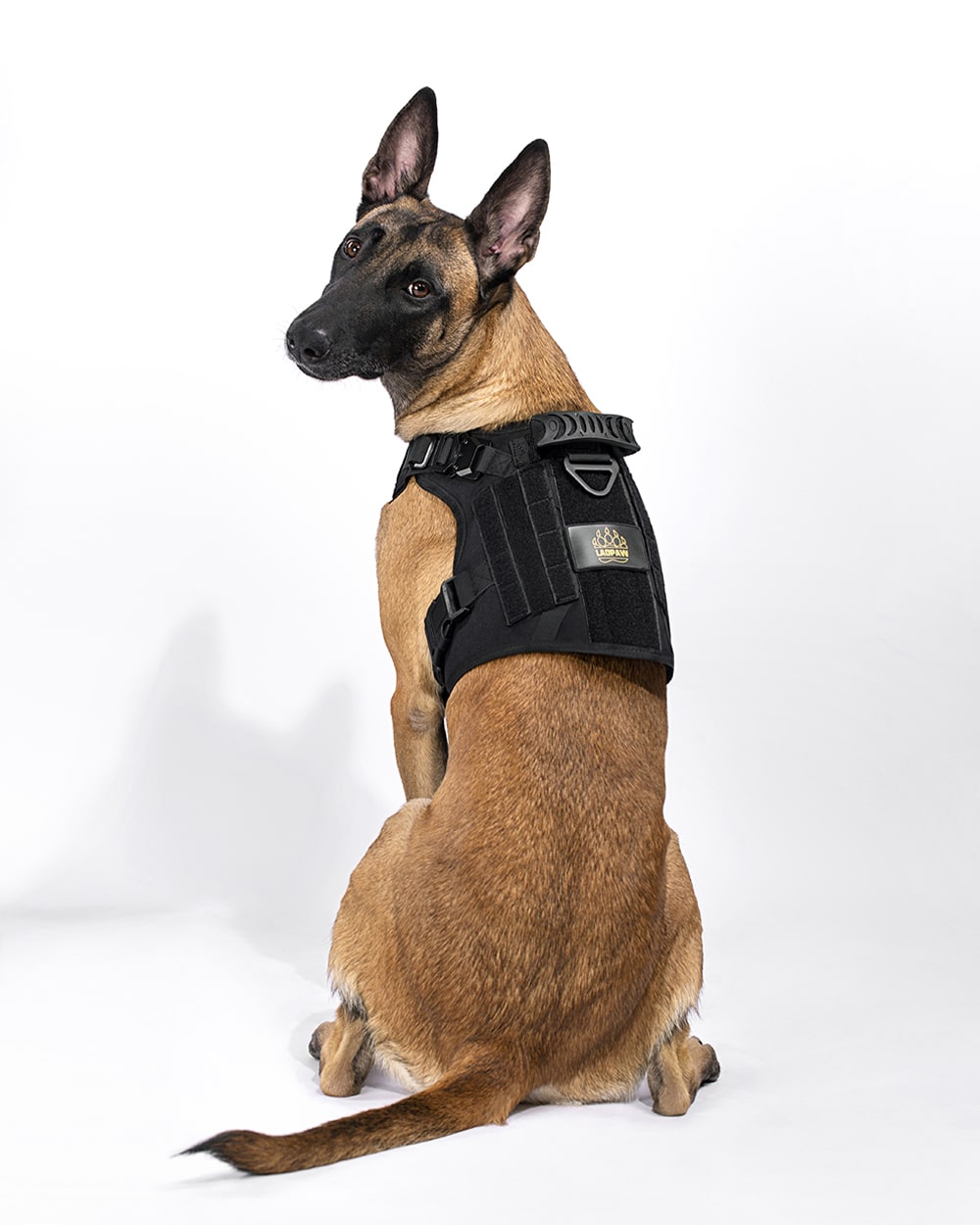 tactical dog harness black